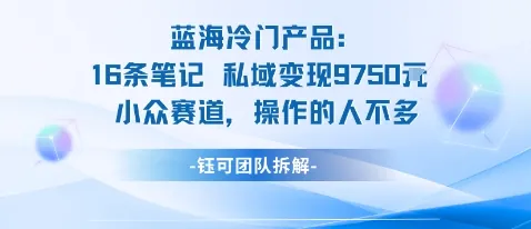 蓝海项目：16条笔记私域变现9750米小众赛道操作的人不多