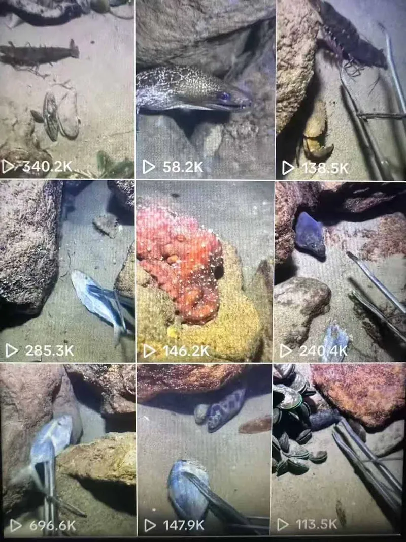 4f8c5d61f6b783e4bf285081c57f71c7.jpeg Tiktok中视频解说教程,体育+温情文案双赛道实操教程一站式带你落地