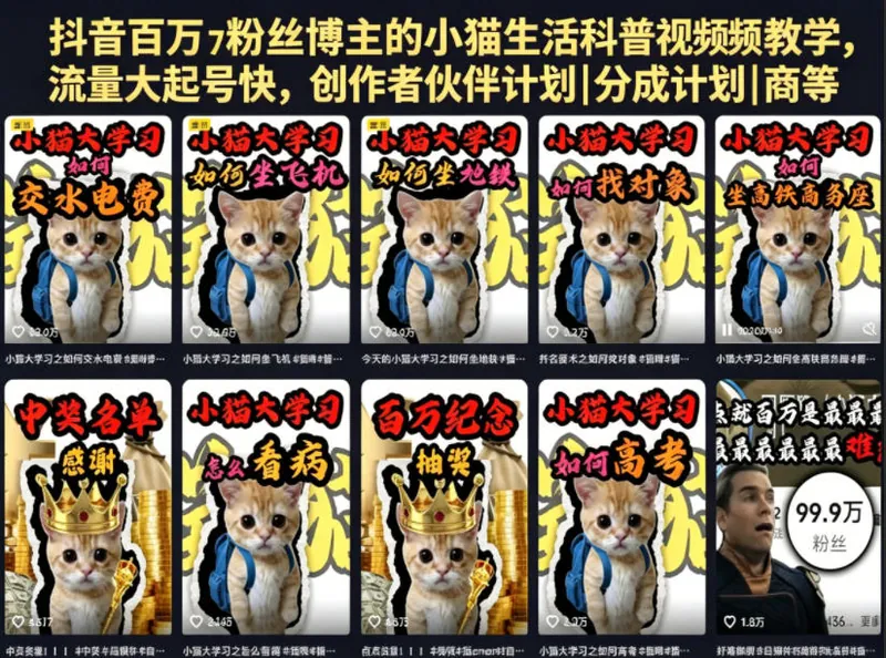抖音百万粉丝博主的小猫生活科普视频教学，流量大起号快，创作者伙伴计划