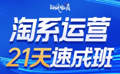 2f1611769591fb01cbdcd97bdbd627ad.jpeg 白凤电商·淘系运营21天速成班(更新4月)