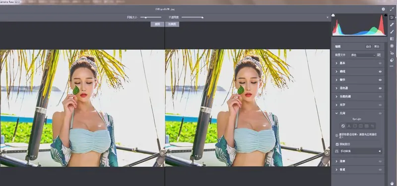 RAW处理Adobe Camera Raw v18.3.1中文版