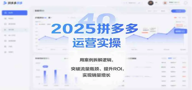 e308cb642150d7fb89dc22b86139cd36.jpeg 2025拼多多运营实操,用案例拆解逻辑,突破流量瓶颈、提升ROI,实现销量增长(更新)