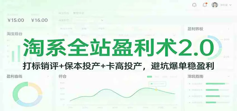 淘系全站盈利术2.0：打标销评+保本投产+卡高投产，避坑爆单稳盈利