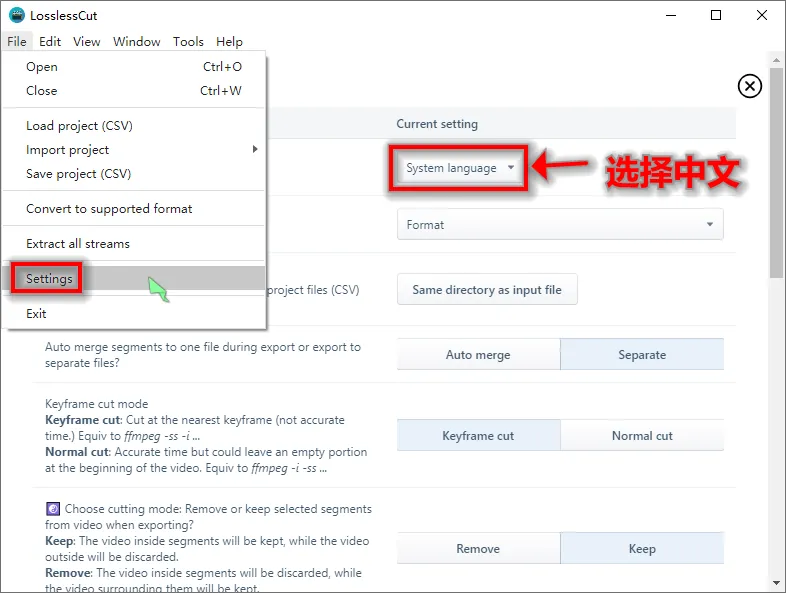 LosslessCut无损剪辑v3.67.1绿色版