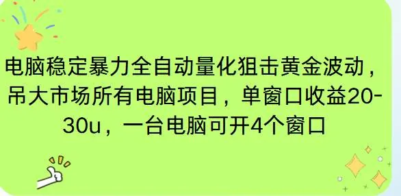 （16737期）电脑EA策略挂机项目单窗口收益20-30u，单电脑可挂5-10个窗口收益稳健4位数