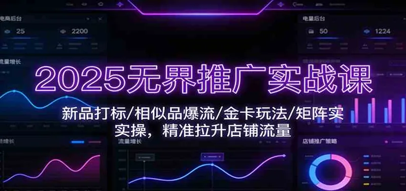 9b99a0810504d43d29ce1123a849d076.jpeg 2025无界推广实战课:新品打标/相似品爆流/金卡玩法/矩阵实操,精准拉升店铺流量