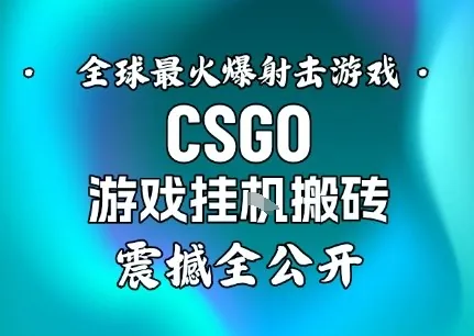 60a96d7de411b612895410fd5676496c.jpeg 【年底大揭秘】基于全球最火爆的射击CSGO游戏挂G搬砖,日入5张+,震撼公开