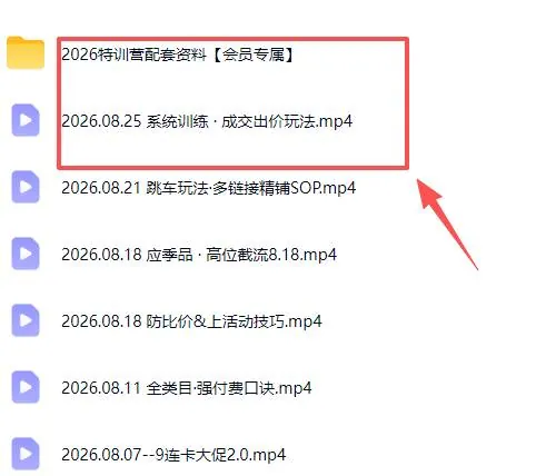 （20092期）拼多多实战特训营(更新26年0827)：不管是新手入门或老商家冲量，都有实操方法，跟着学，少走弯路