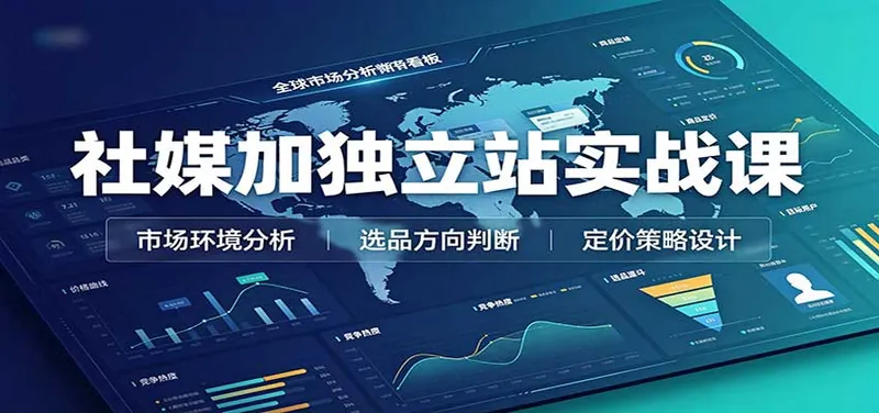 社媒加独立站实战课：市场环境选品定价，社媒运营建站，私域网红营销教学